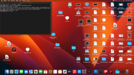 Screenshot 2024-02-06 alle 07.51.44.png