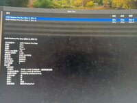 IMG_9313.jpeg