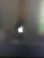 IMG_4491.jpeg