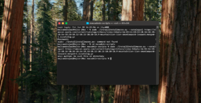 Screenshot 2025-06-20 at 16.47.11.png
