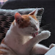 Ewan13